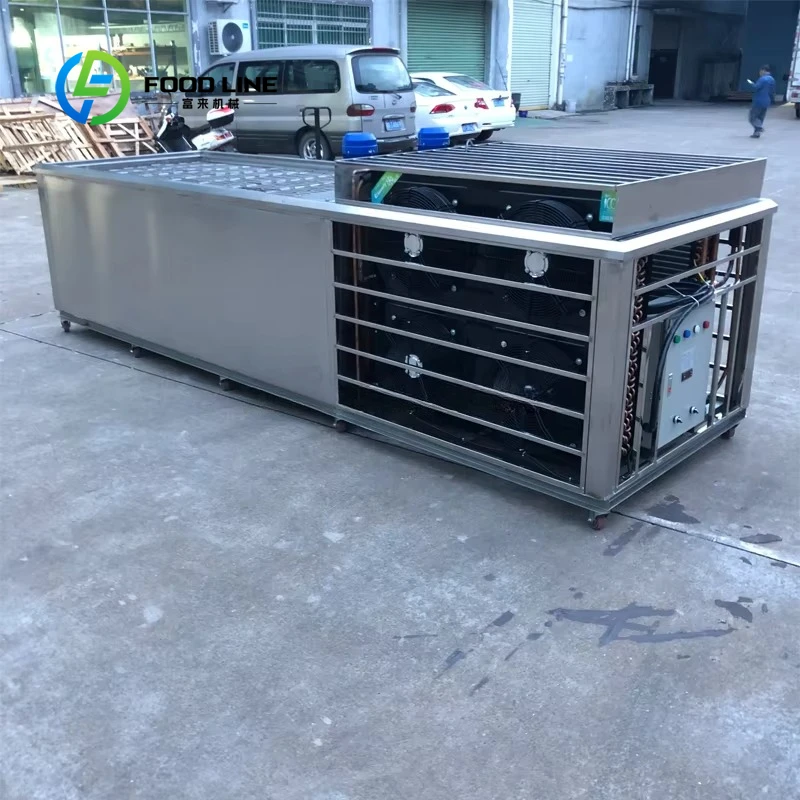 Customization 1-3 Ton Industrial Ice Brick Machine 304 Stainless Steel 110V/220V Commercial Ice Plant